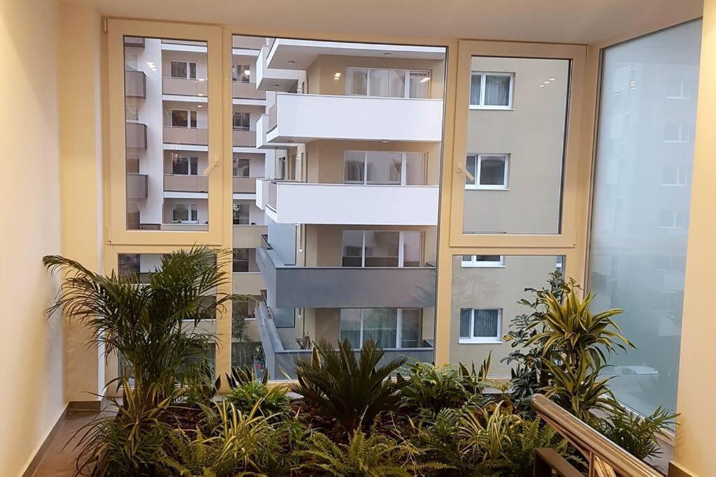 Wonderful Apartment Μπρασόβ Εξωτερικό φωτογραφία